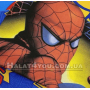 Двухстороннее детское постельное белье TAC "Spiderman Sense Goss