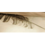 Постельное белье Maison D`or "Plumes" Beige