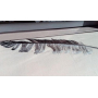 Постельное белье Maison D`or "Plumes" Gri